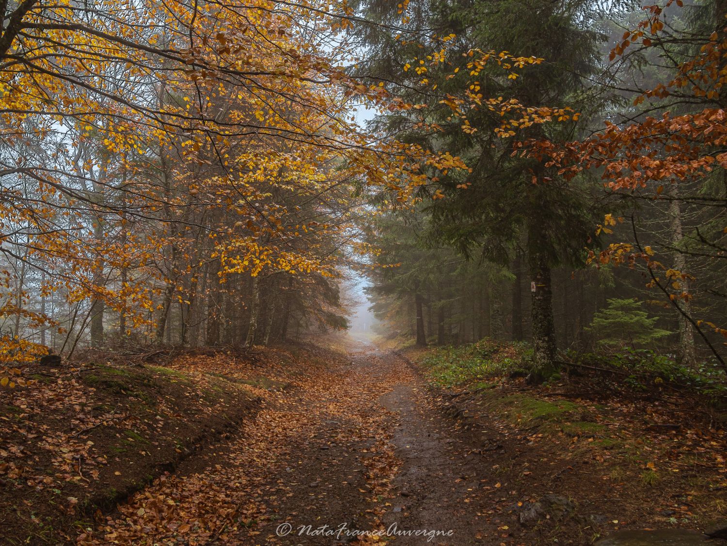 Lac Pavin nov 2023 by @NataFranceAuvergne-8851 (1)